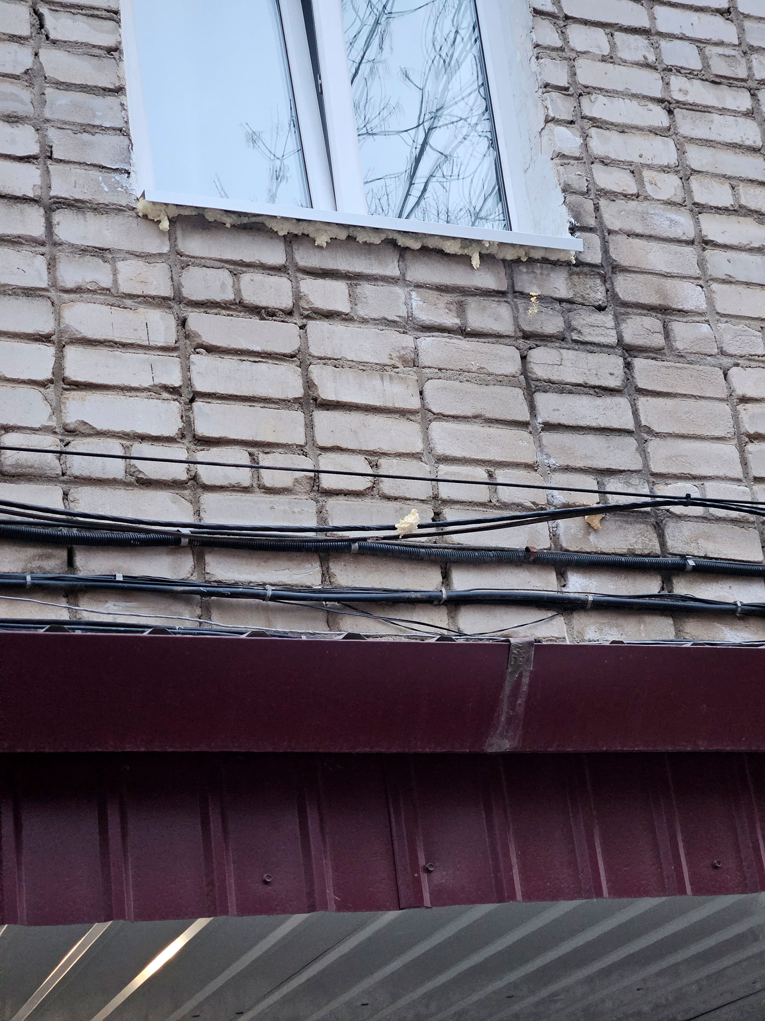 ИзображениеДарья