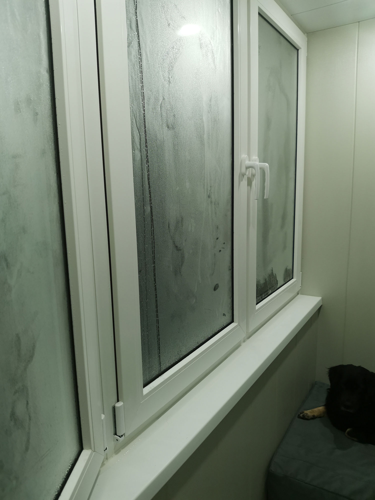 ИзображениеЕкатерина